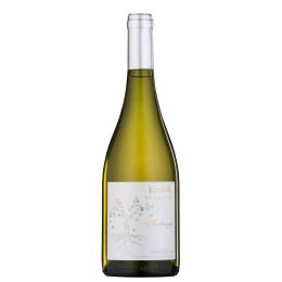 Terrasul Chardonnay