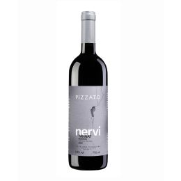 Pizzato Nervi Reserva Tannat