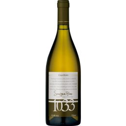 Casa Olivo 1033 Sauvignon Blanc