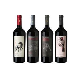 Kit Vinhos Tintos Casa Venturini (4 unidades)