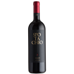  Ulian Spotachio 2017
