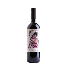 Routhier & Darricarrre Salamanca do Jarau Cabernet Sauvignon