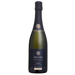 Cave do Sol Espumante Natural Branco Brut