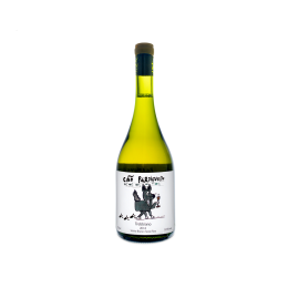 Agrovincola Rigon Co Perdigueiro Trebbiano