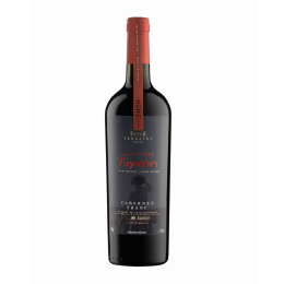 Terrasul Passo dos Tropeiros Cabernet Franc