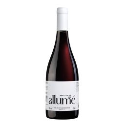 Pizzato Allum Pinot Noir