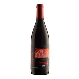 Gelain Colnia No. 44 Merlot
