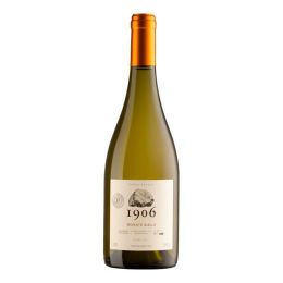 Pauletti Vinhos e Vinhedos 1906 Moscato Giallo