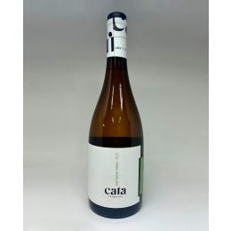 Cata Terroirs Sauvignon Blanc