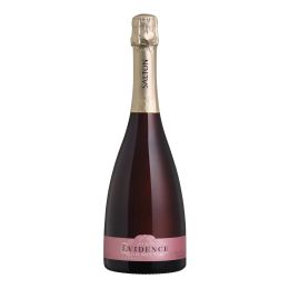 Salton vidence Cuve Brut