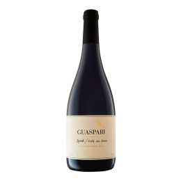 Guaspari Vista de Serra Syrah