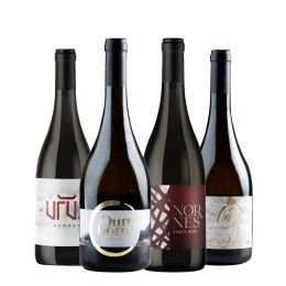 Kit Berkano Nordicos (4 unidades)