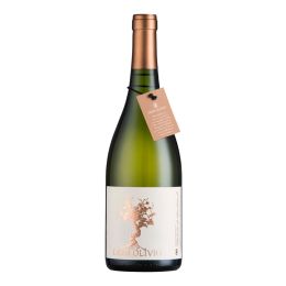 Vilena Dom Olvio Chardonnay