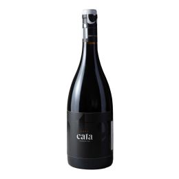 Cata Terroirs Gran