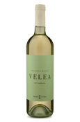 Schola Sarmenti Tempo Al Vino Valea Malvasia Bianca del Salento 2023