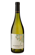 Metropolitano Chardonnay 2024